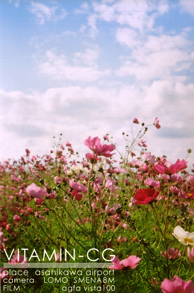 LOMO_cosmos